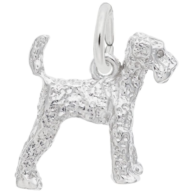 AIREDALE