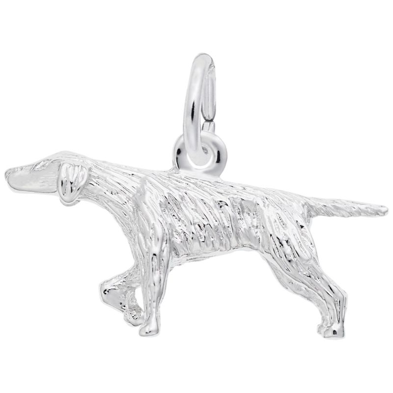 POINTER