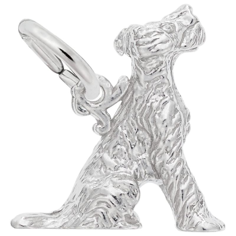 TERRIER