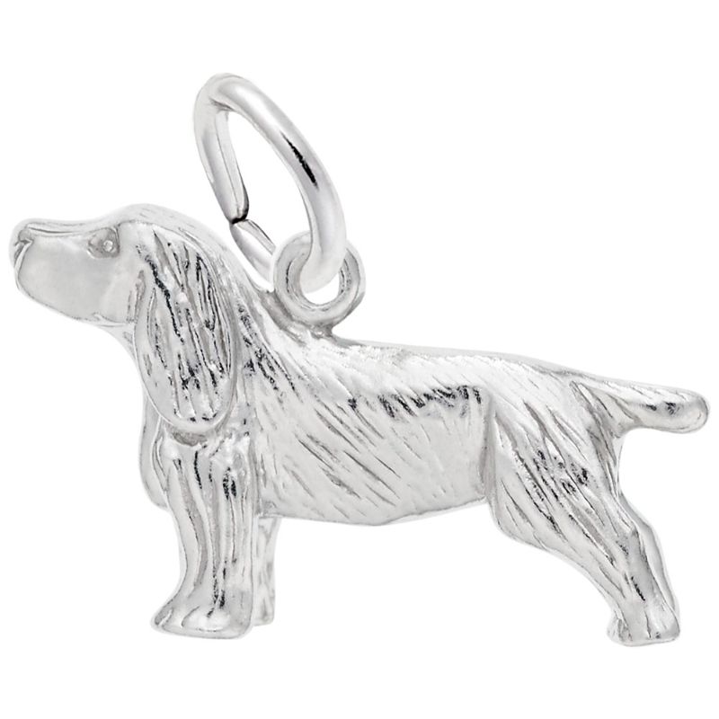 SPRINGER SPANIEL