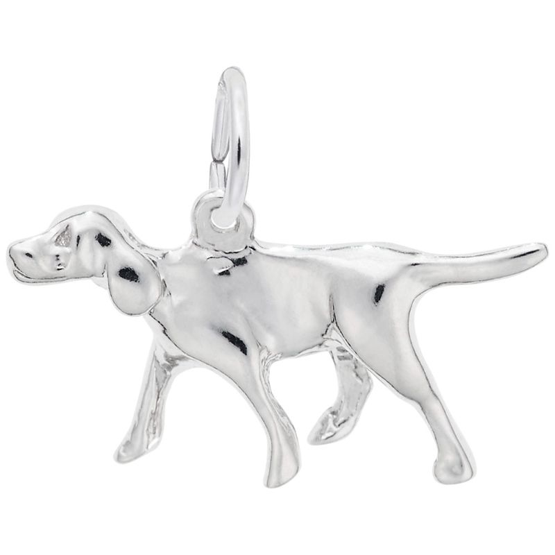 RETRIEVER
