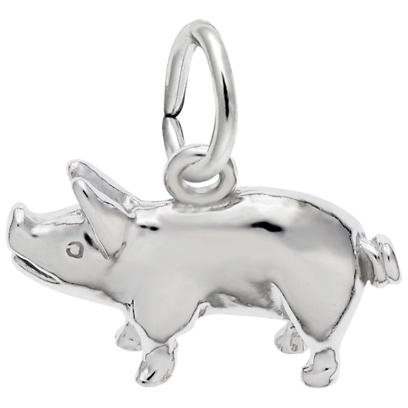 PIG