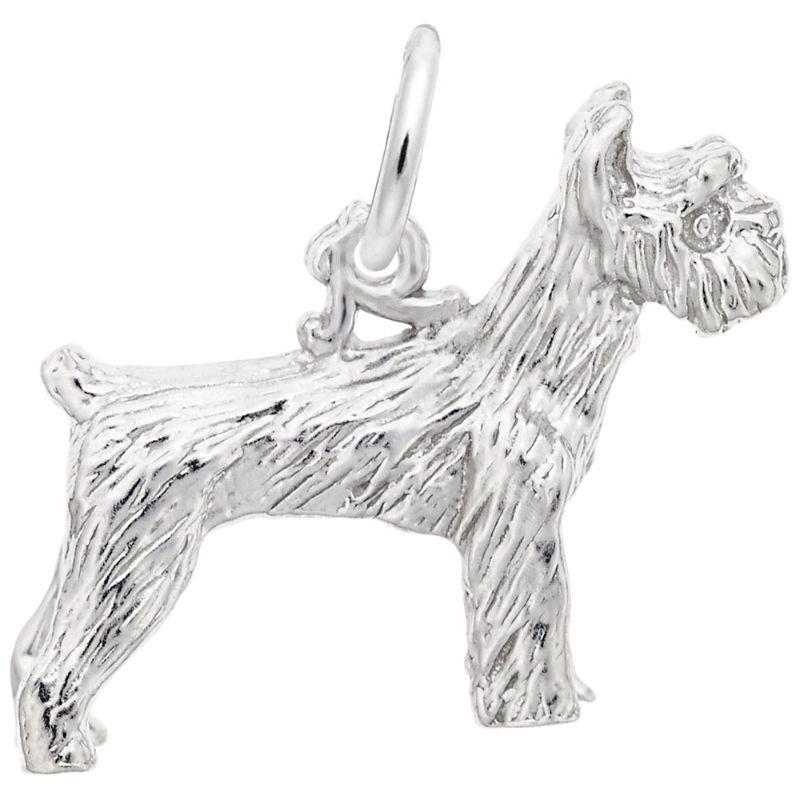 SCHNAUZER