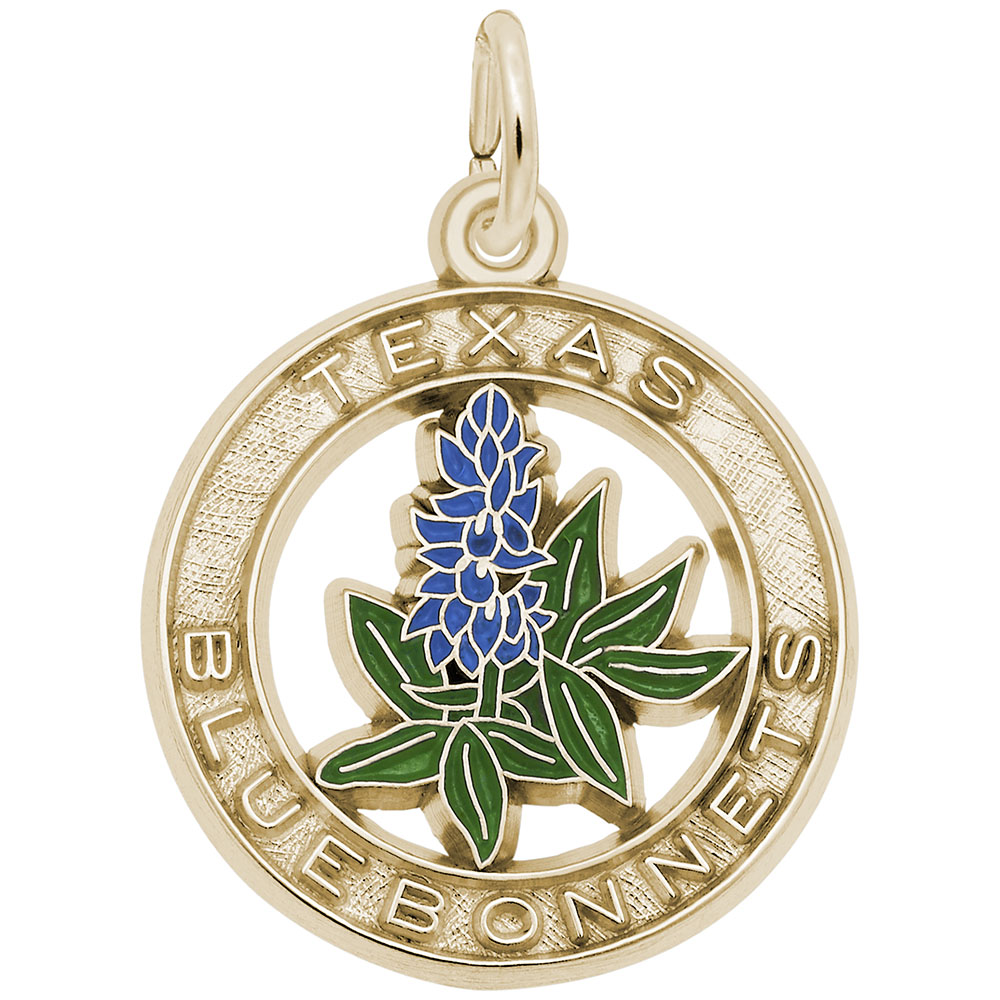 TEXAS BLUEBONNETS
