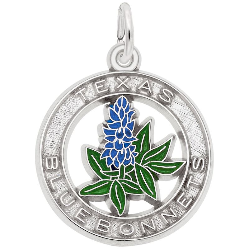 TEXAS BLUEBONNETS