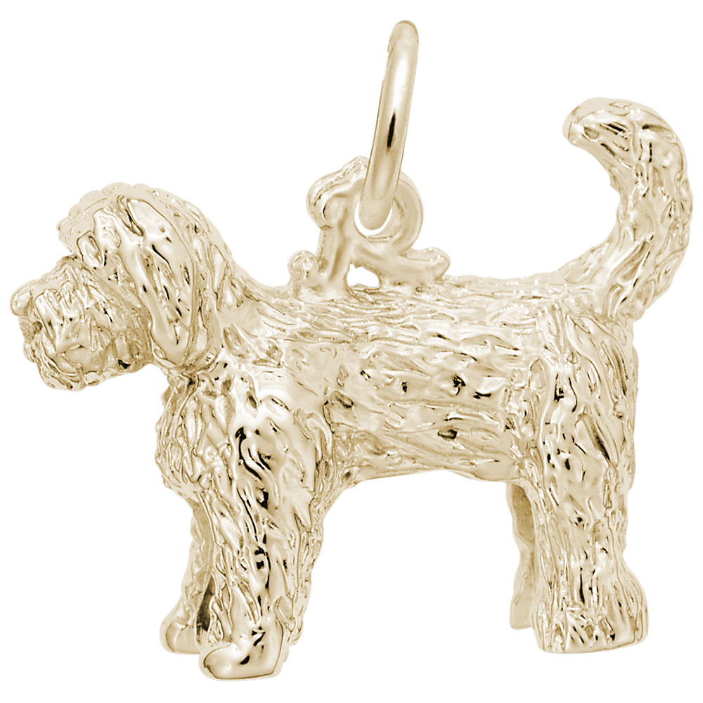 LABRADOODLE