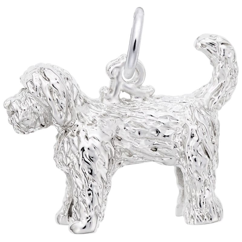 LABRADOODLE