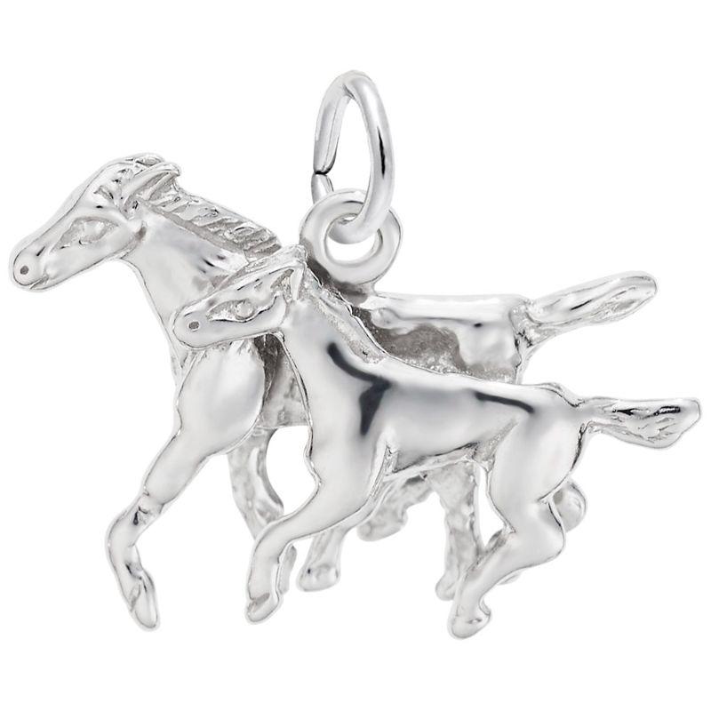 HORSE AND COLT
