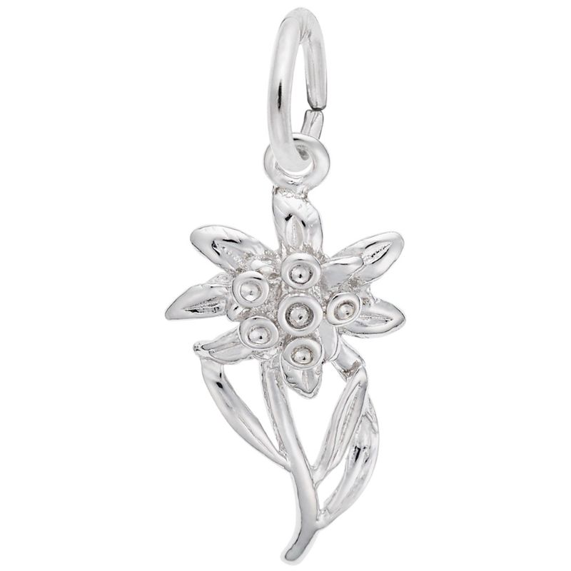 EDELWEISS