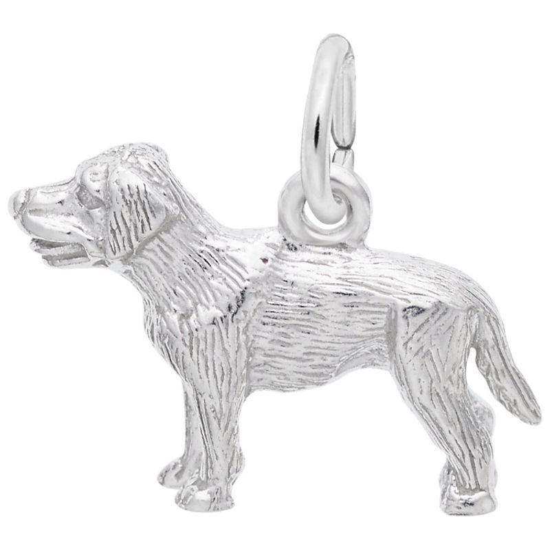 LABRADOR