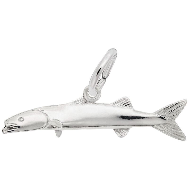 BARRACUDA