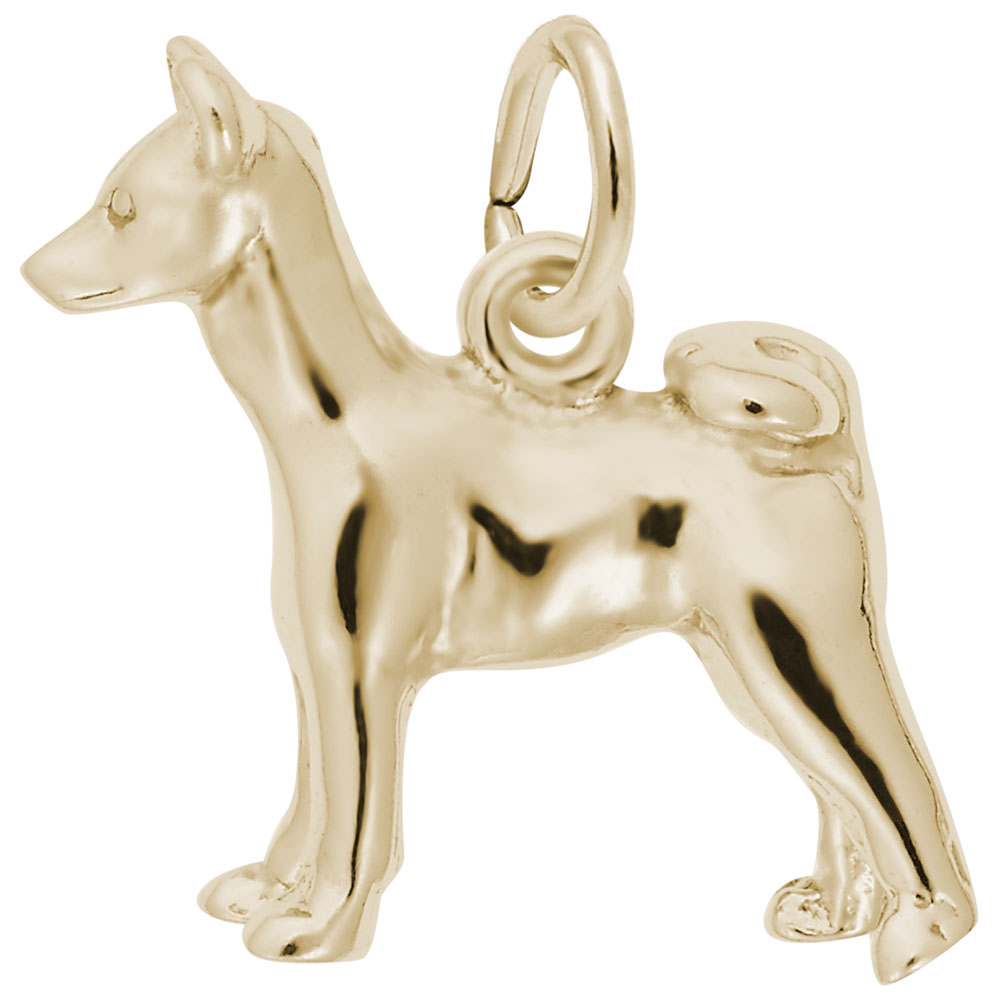 BASENJI