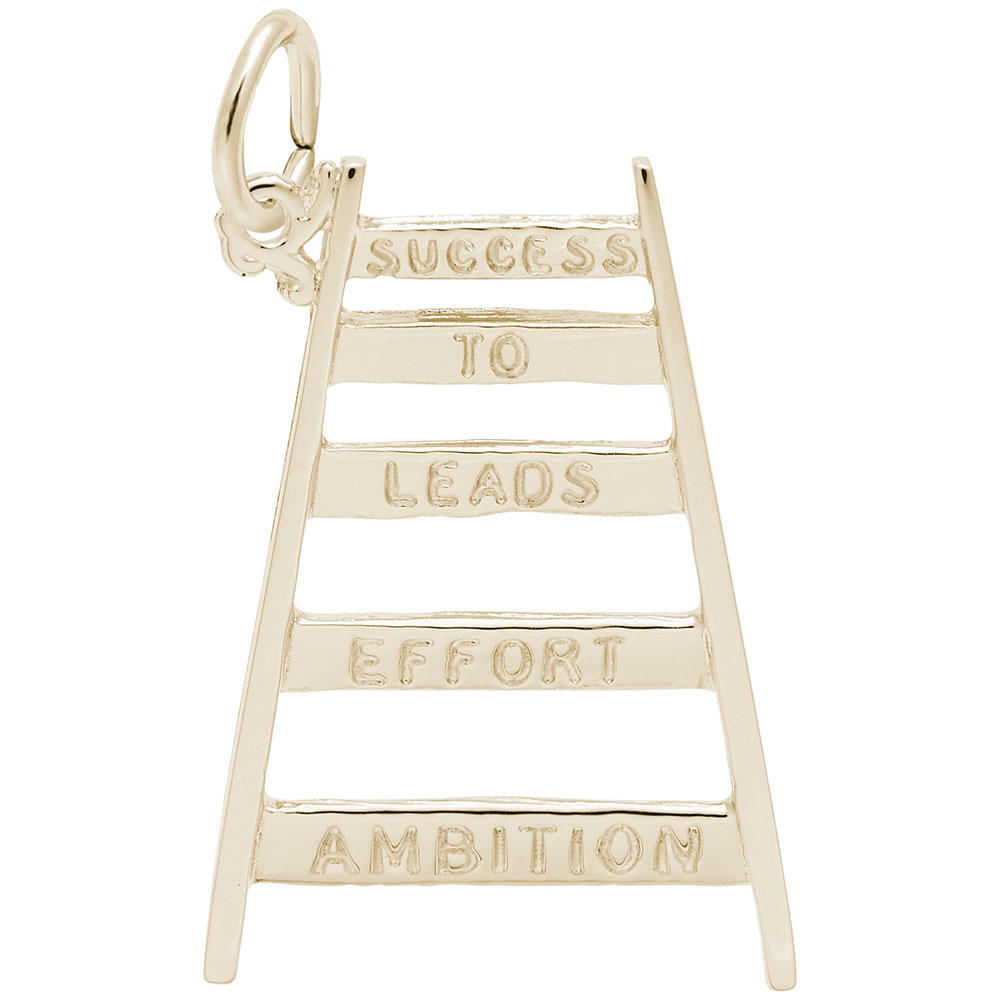 LADDER OF SUCCESS