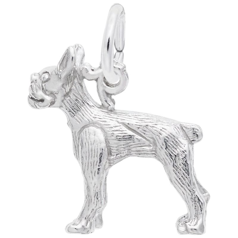 BOSTON TERRIER