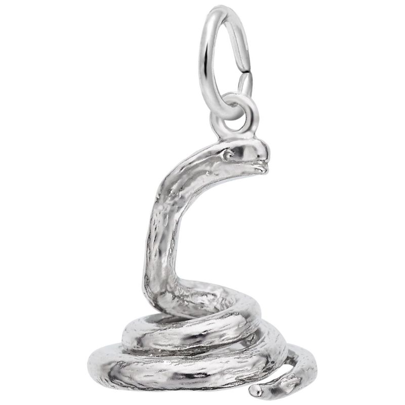 SNAKE COBRA