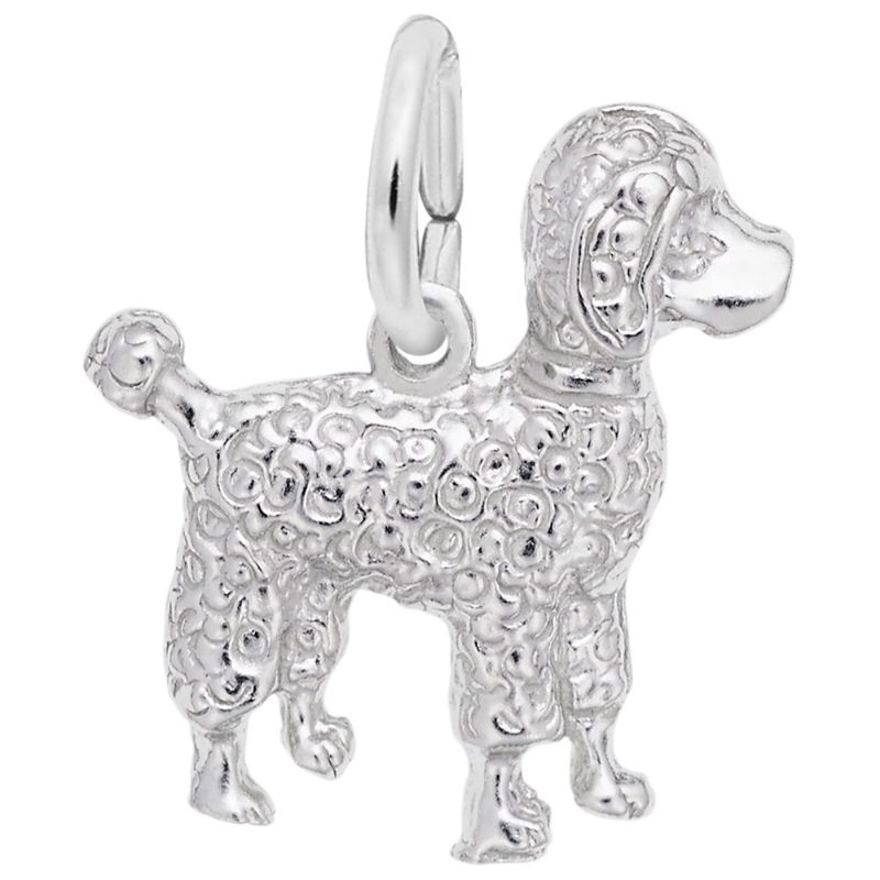 POODLE