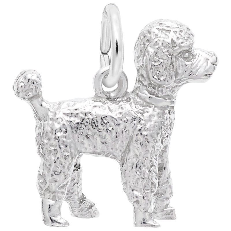 POODLE