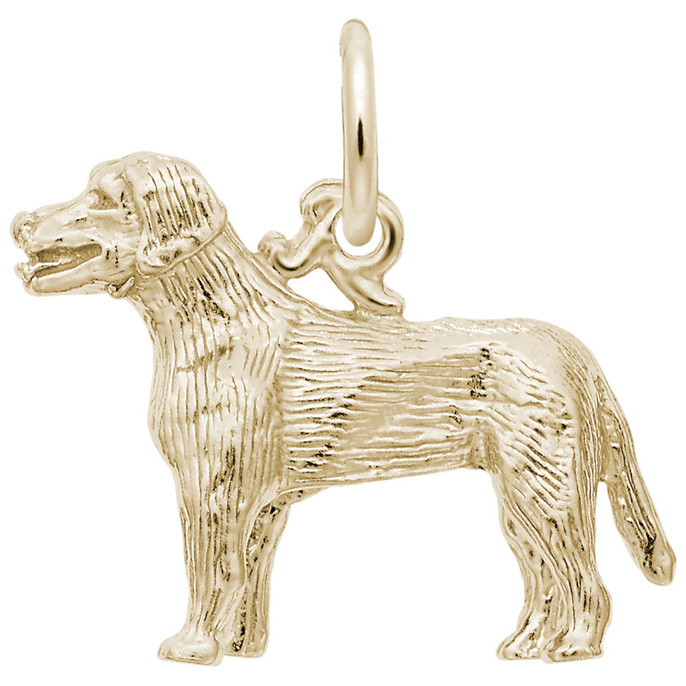 LABRADOR