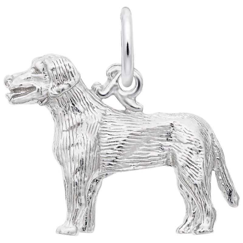 LABRADOR