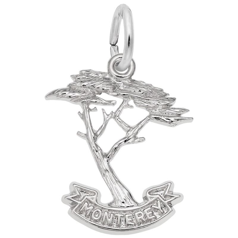 MONTEREY CYPRESS