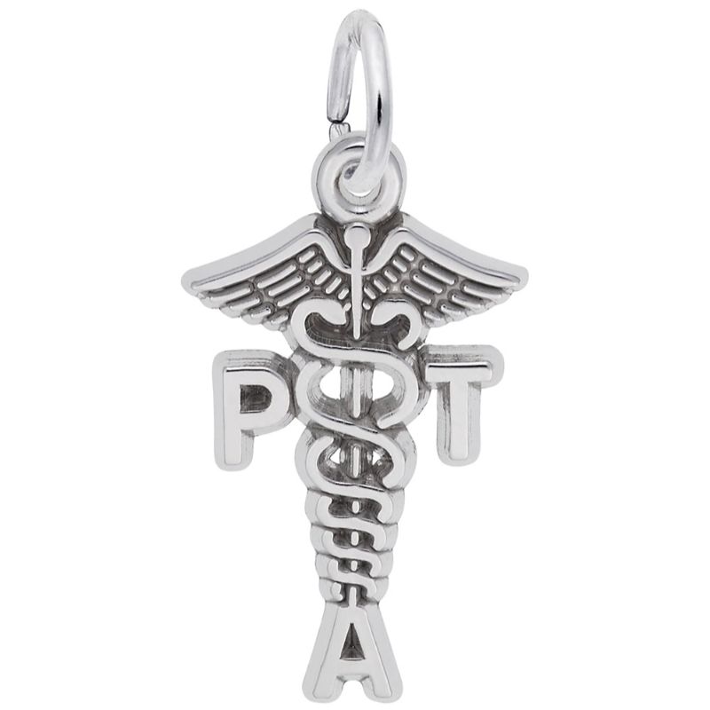 PT ASSISTANT