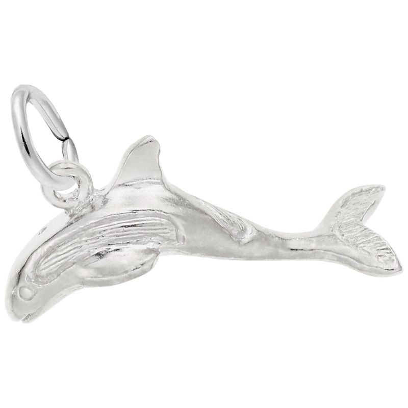 WHALE