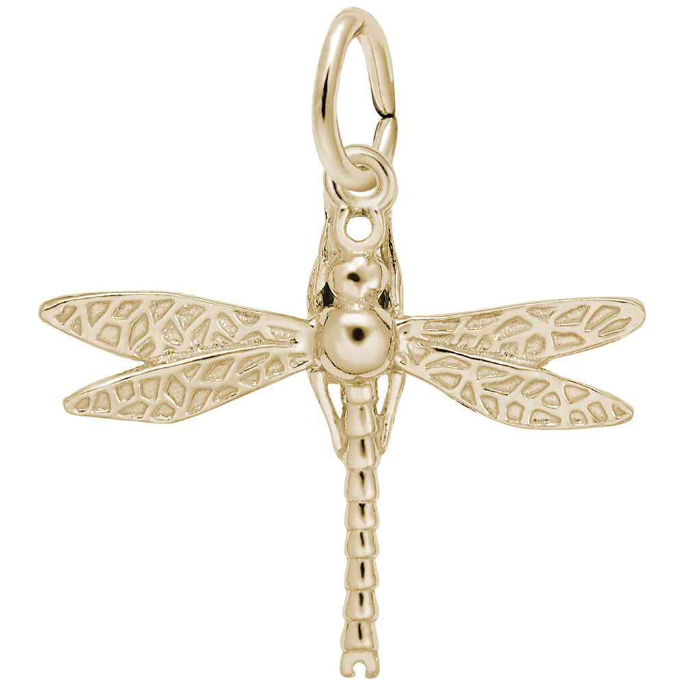 DRAGONFLY
