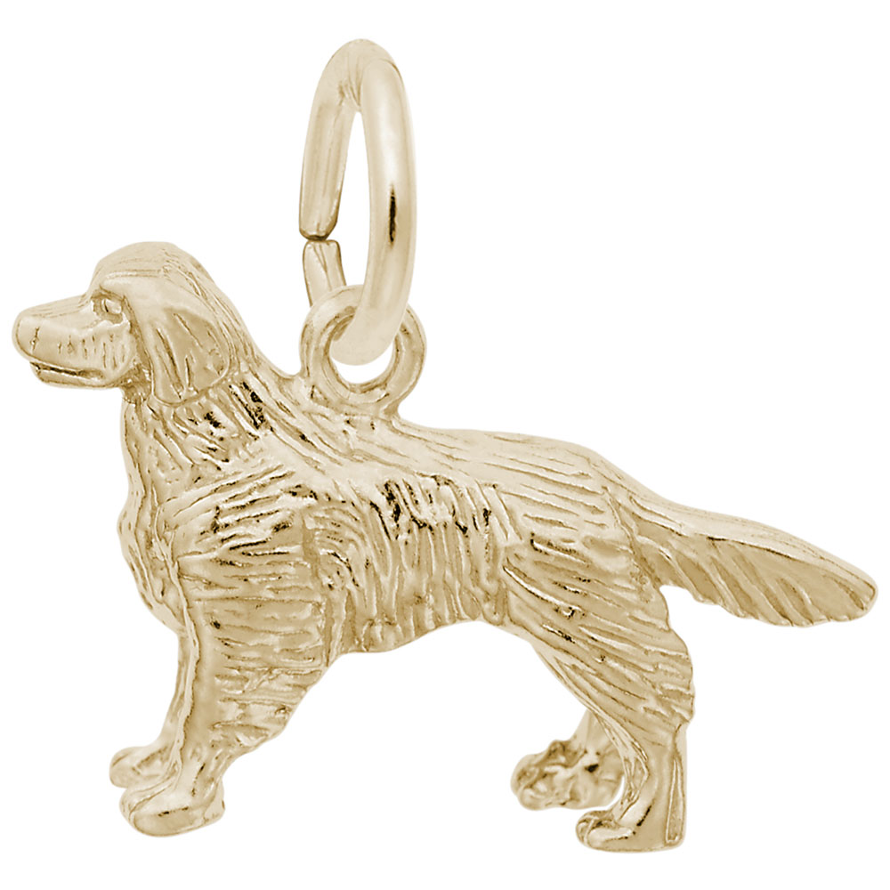 GOLDEN RETRIEVER