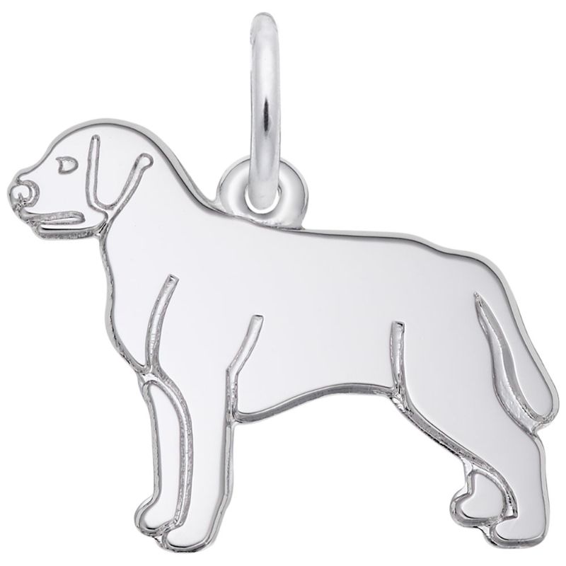 LABRADOR RETRIEVER