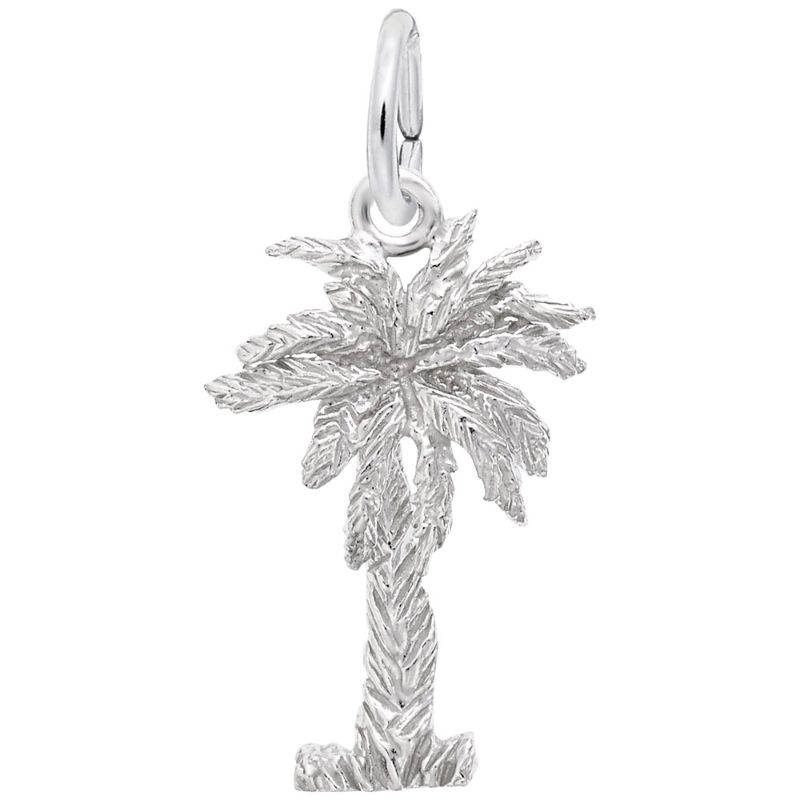 PALMETTO 3D