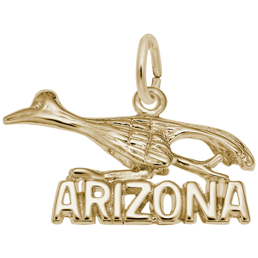 ARIZONA ROAD RUNNER
