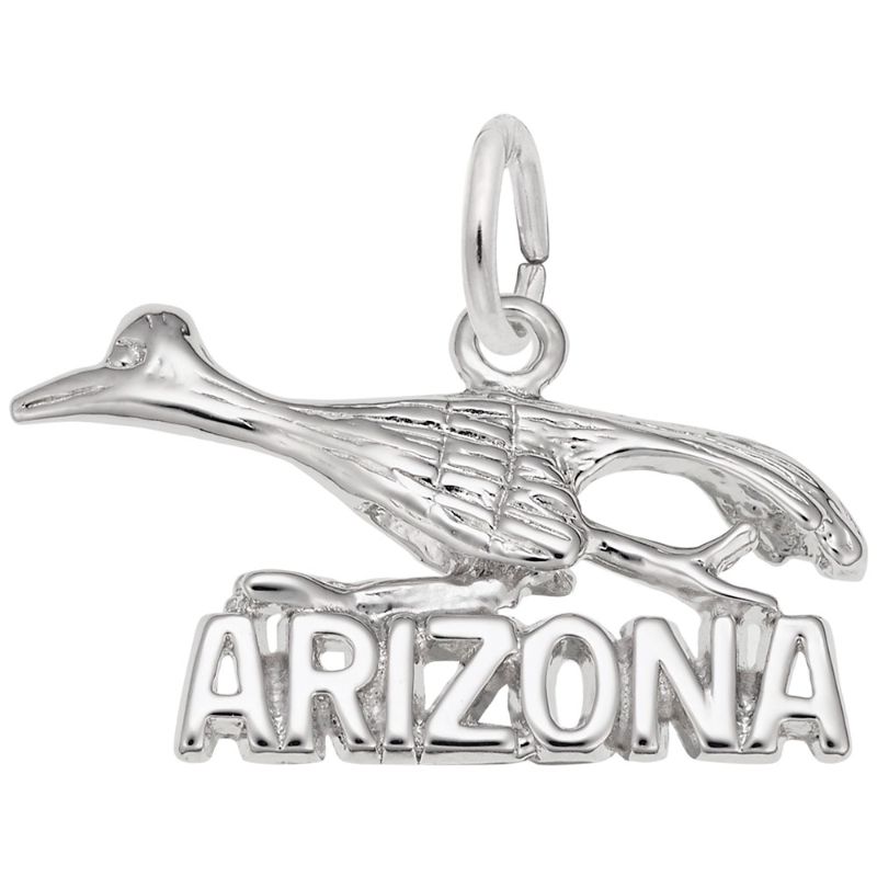 ARIZONA ROAD RUNNER