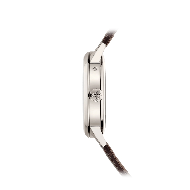 Patek Philippe Grand Complications Platinum 5236P-010