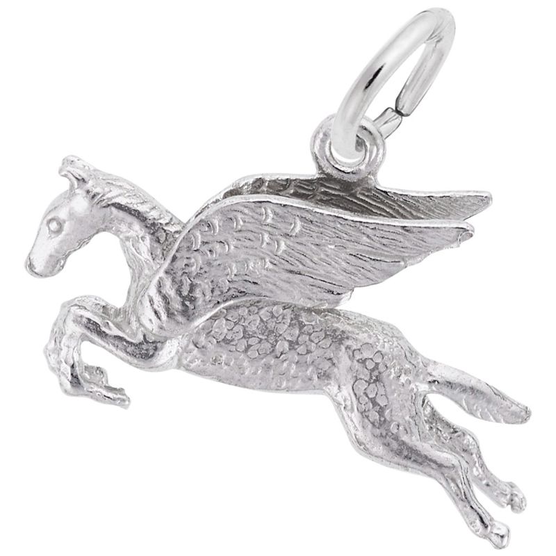 PEGASUS