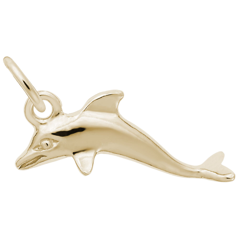 DOLPHIN