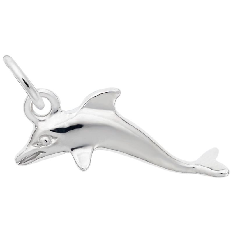 DOLPHIN