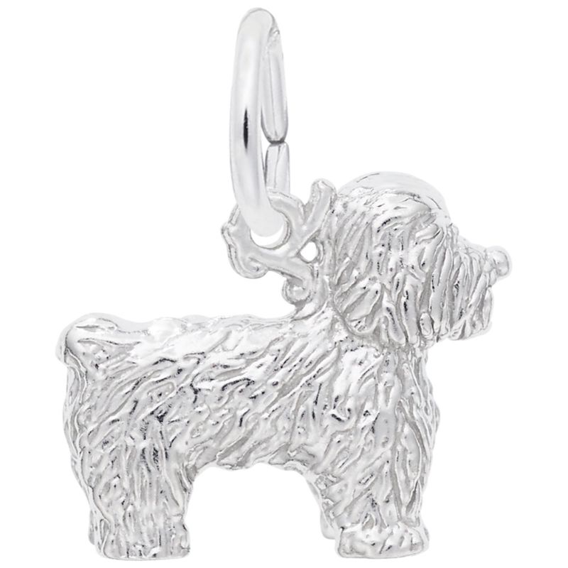 BICHON FRISE