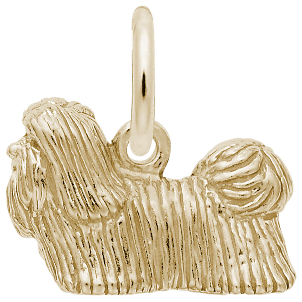 SHIH TZU