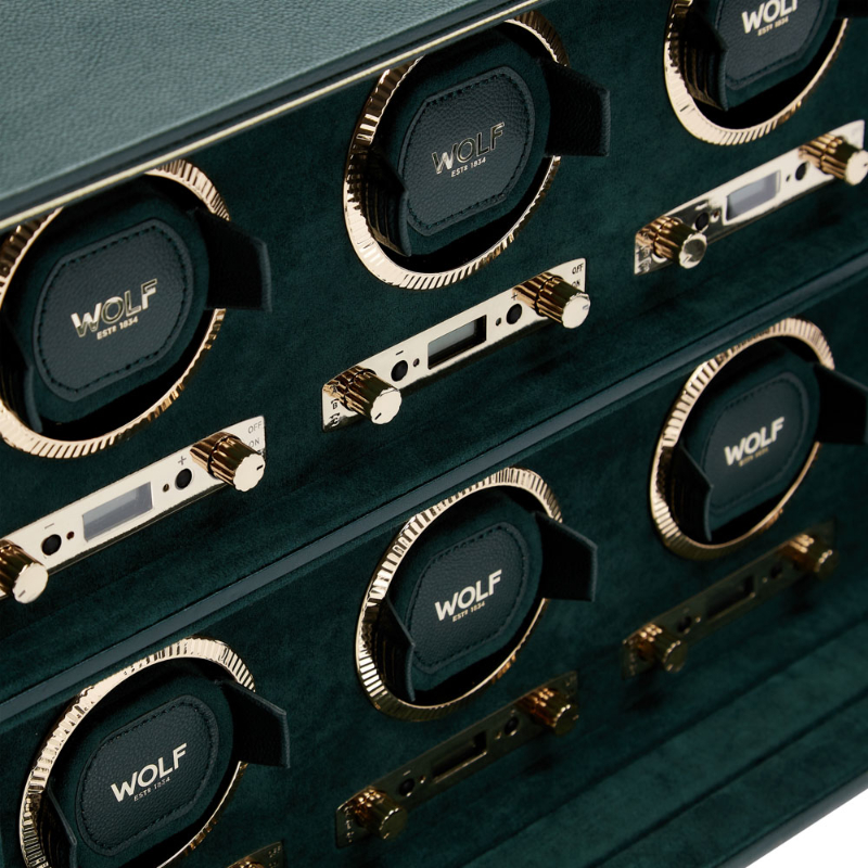 British Racing 6PC Watch Winder