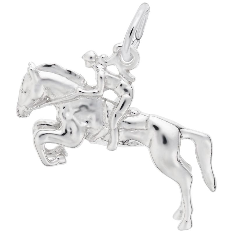 HORSE AND RIDER