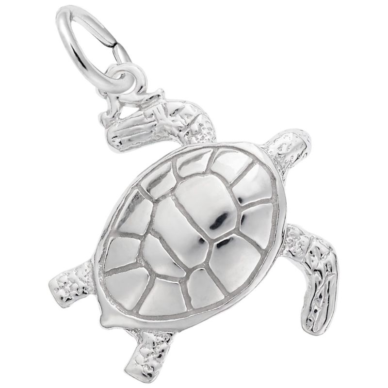 SEA TURTLE
