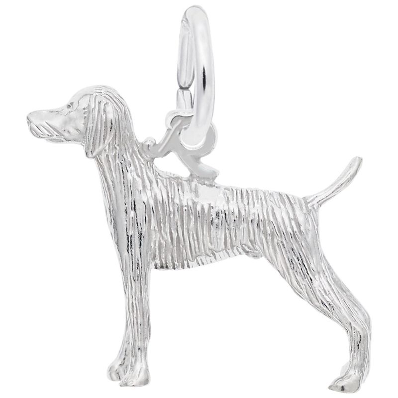 WEIMARANER