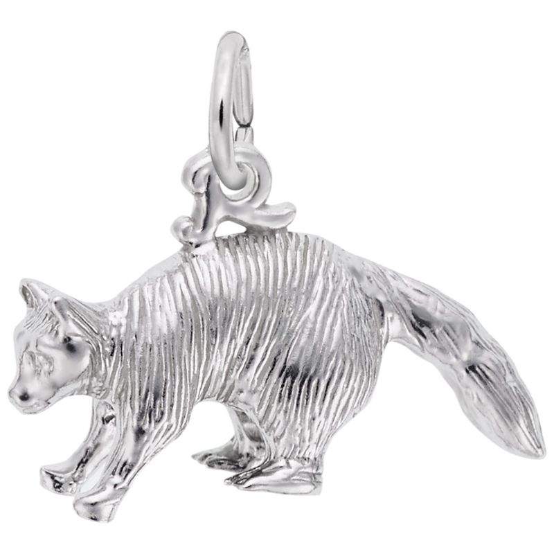 RACCOON