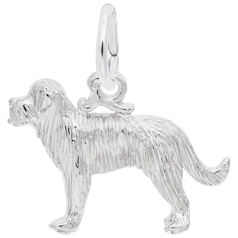 ST BERNARD