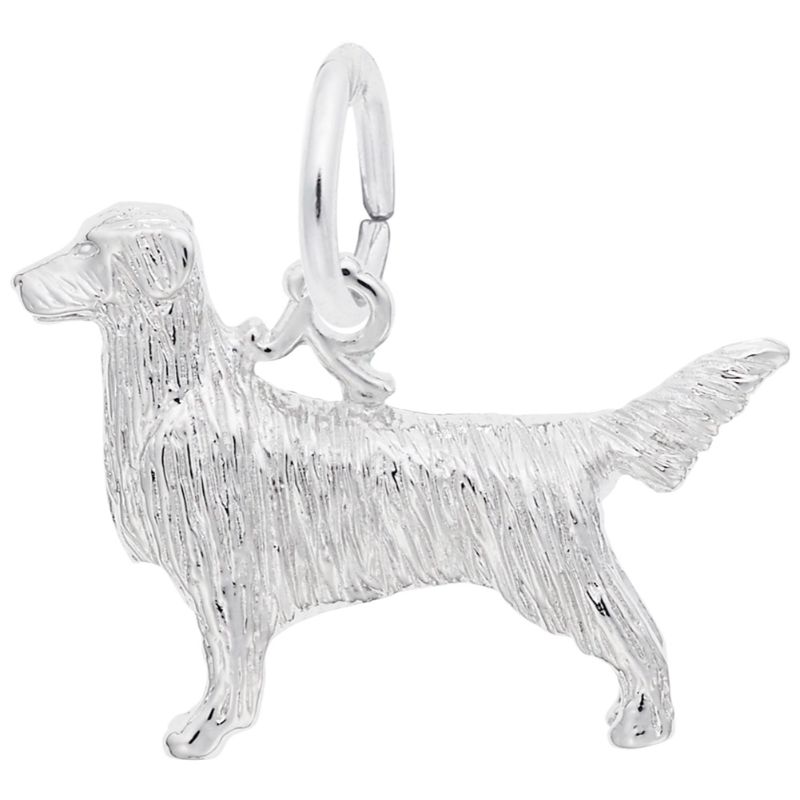 RETRIEVER
