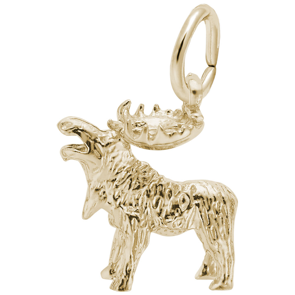 MOOSE 3D