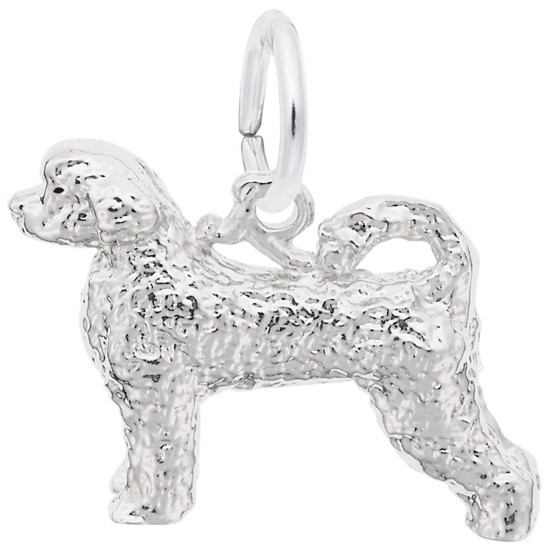 PORTUGUESE WATER DOG