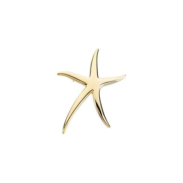 Starfish Brooch / Pendant -50028962