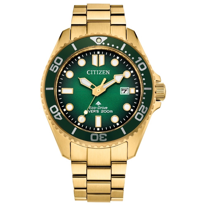 Citizen Promaster Eco Men