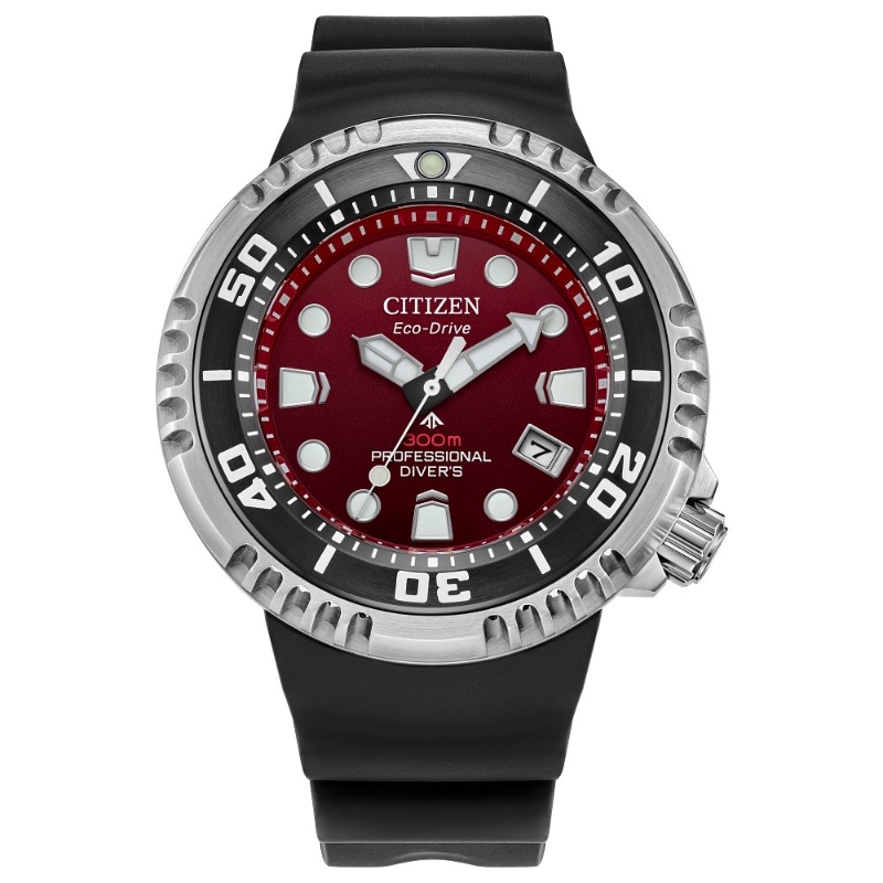 Citizen Stainless Steel Promaster Eco Mens Watch
